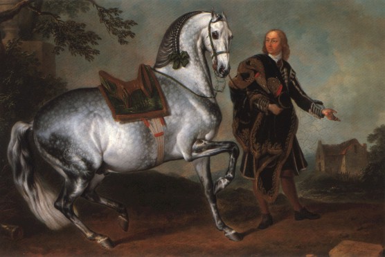 PLUTO: Andalou gris, né en 1765 au haras royal danois de Frederksborg